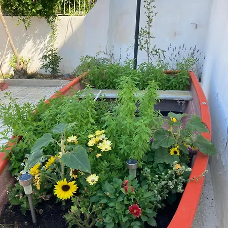 Πανσιόν La Conchiglia